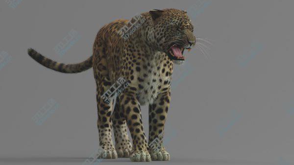 images/goods_img/20210312/3D Jaguar Rigged model/5.jpg